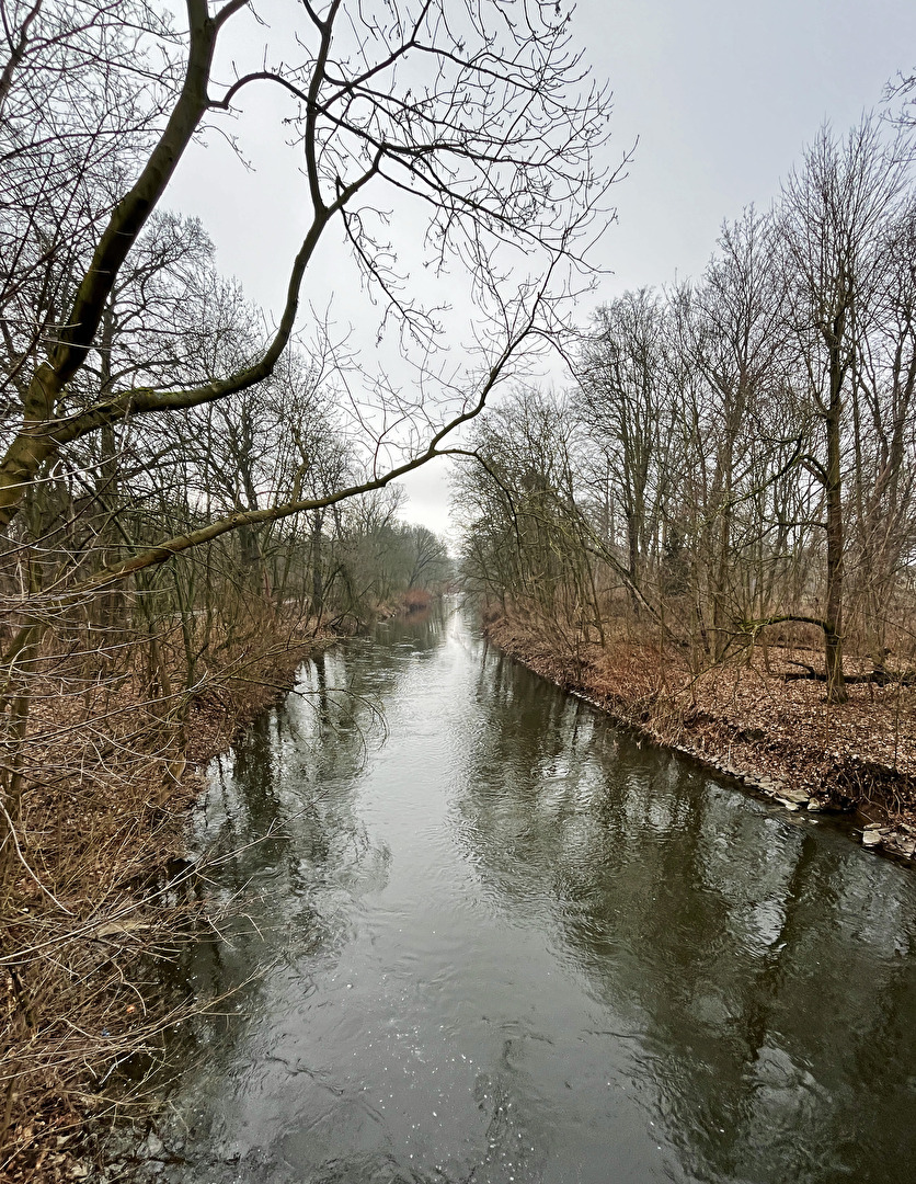 warten auf Frühling...