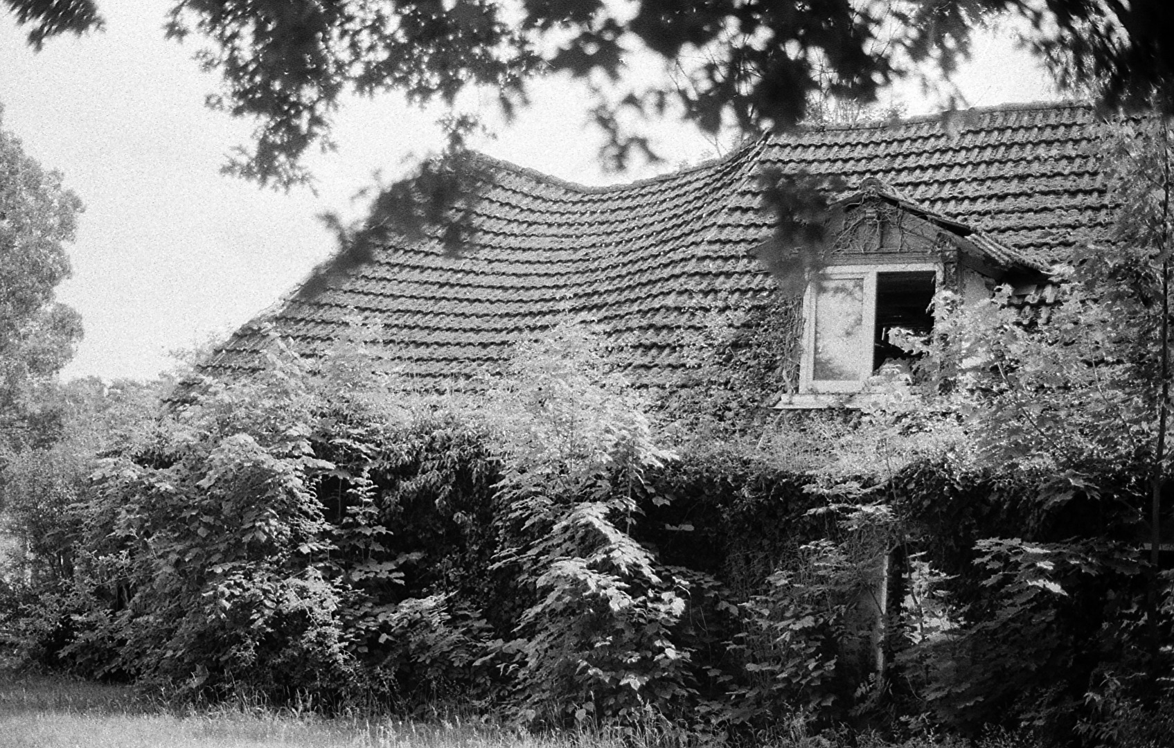 Das alte Haus