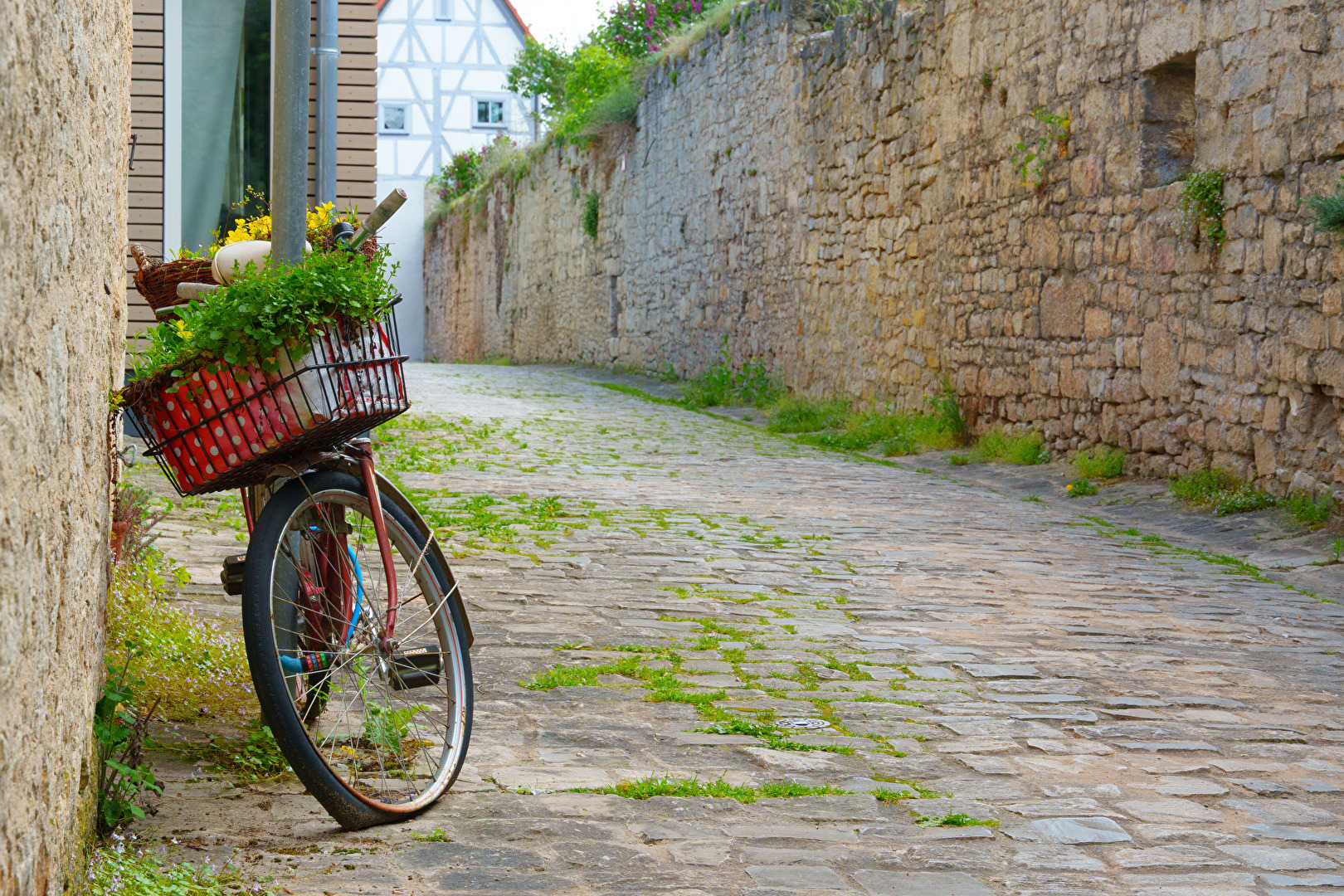 Blumenfahrrad