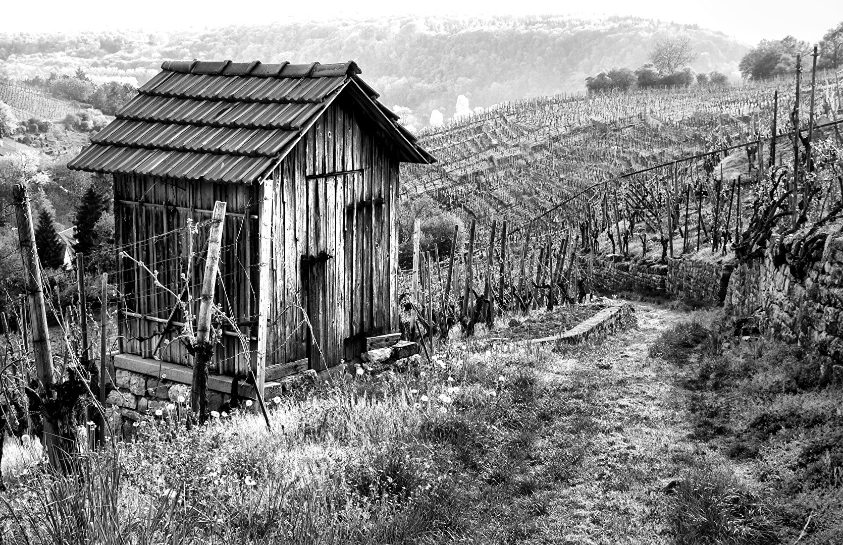 Weg der Weinbergbauern