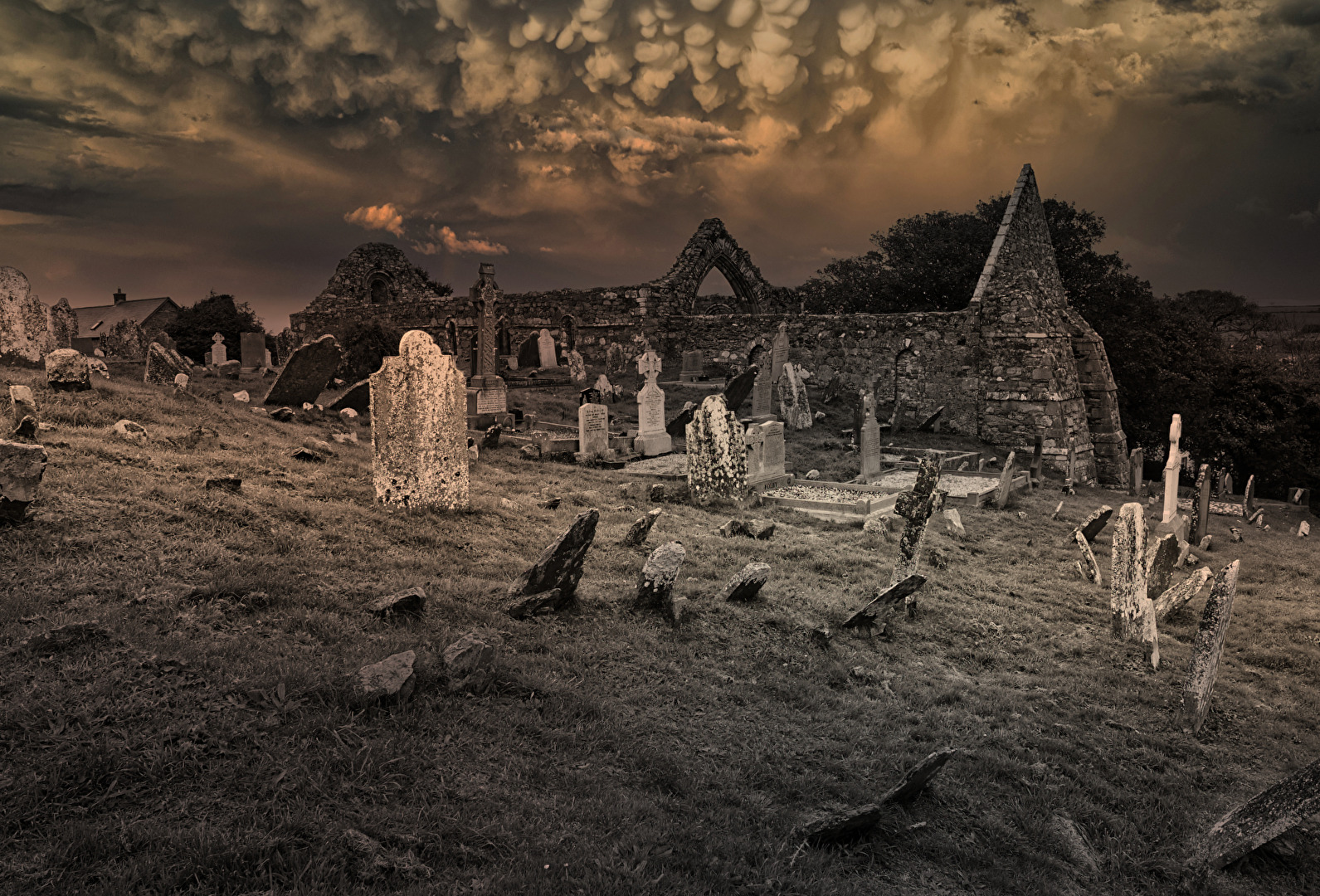 die vergessenen Gräber