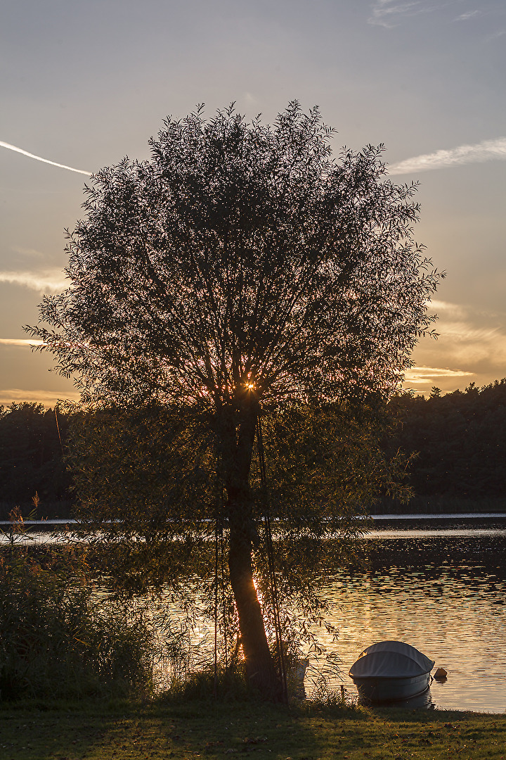 AN DER HAVEL