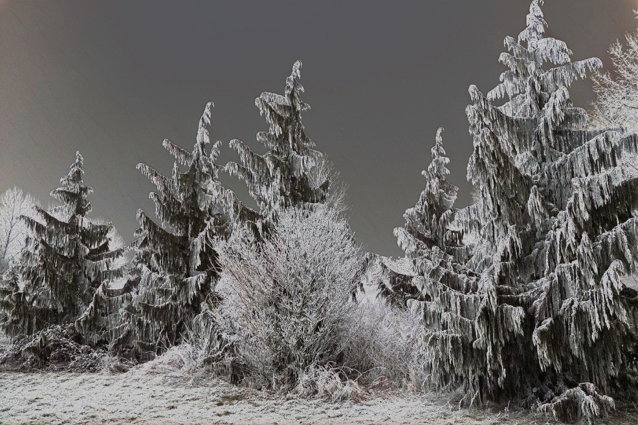 Winter - vor 9 Jahren ...