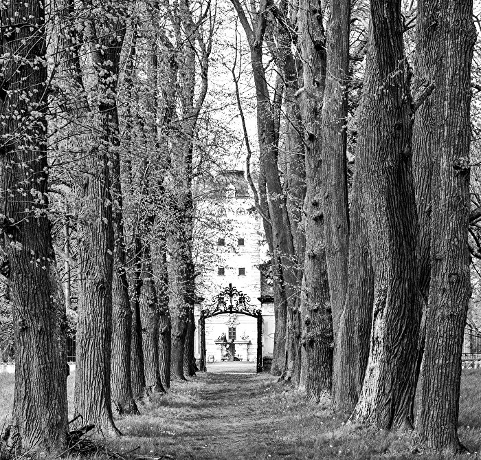 Lindenallee