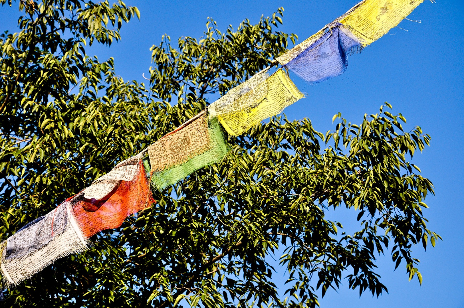 Tibetische Gebetsfahnen vor dem MMM-Museum Firmian bei Bozen, Alto Adige