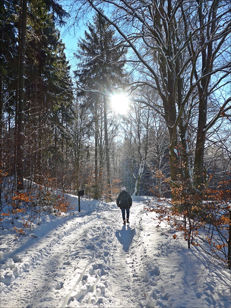 Winterspaziergang