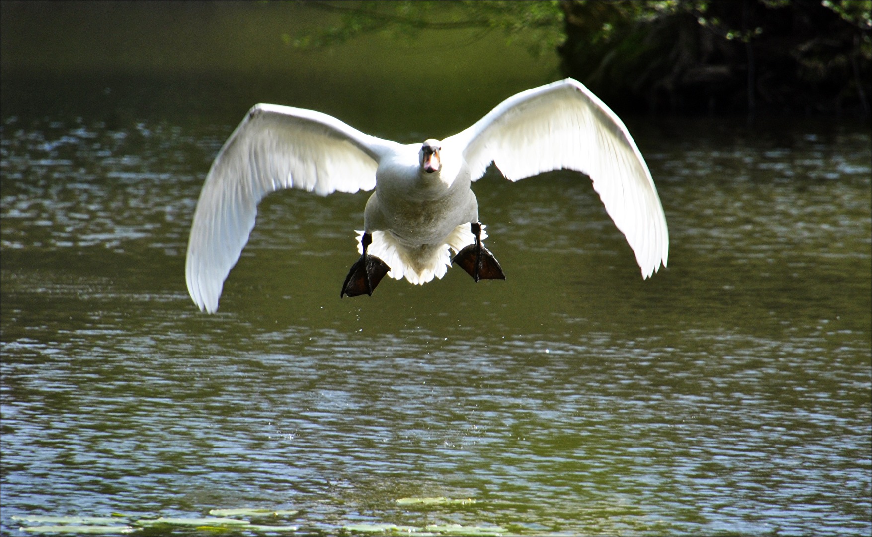 Achtung...jetzt komm ich