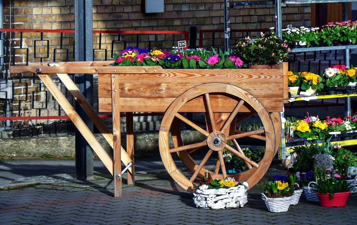 Hab mal schon den Frühling "geladen"