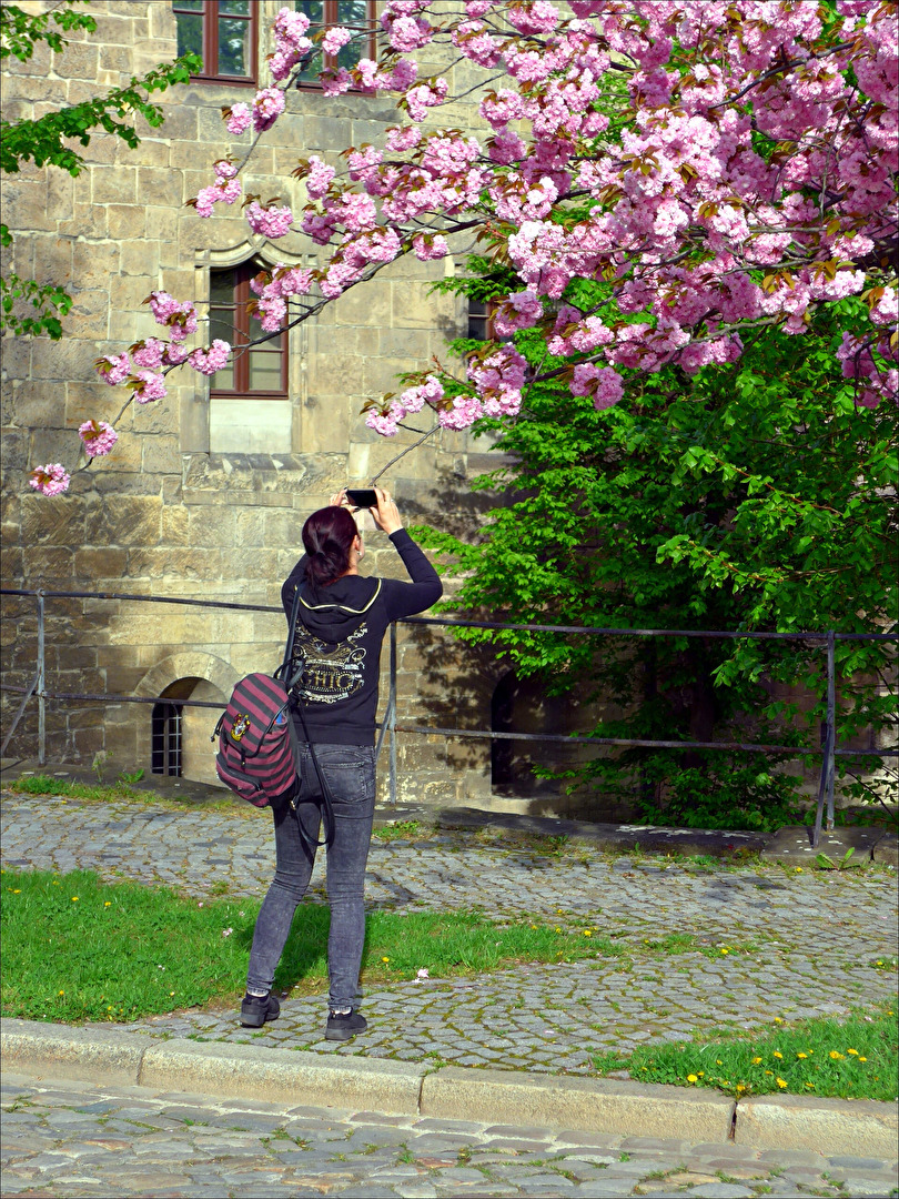 schnell mal ein Foto "schießen"