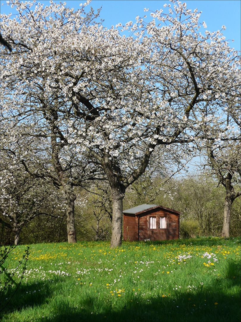Frühling