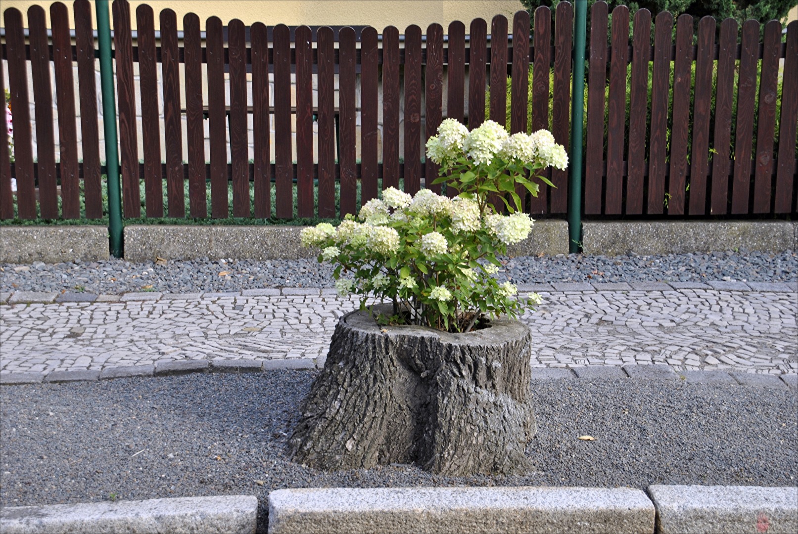 altes neu belebt