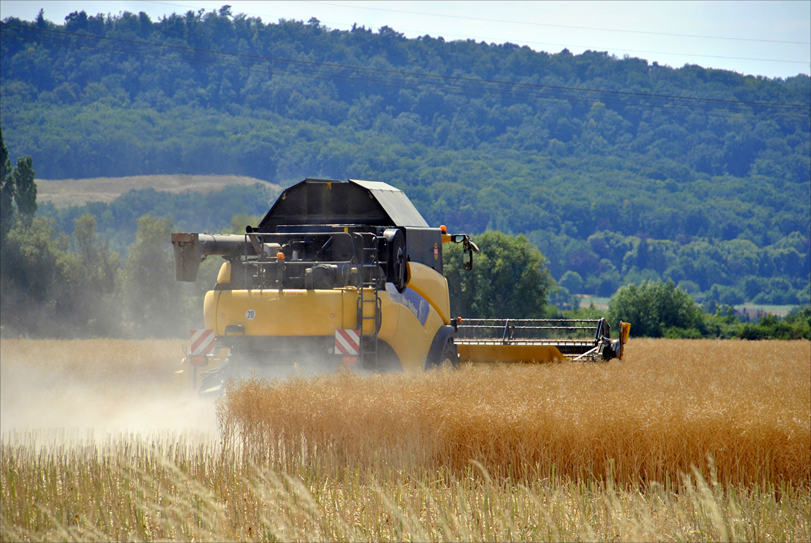 Harvest time 1