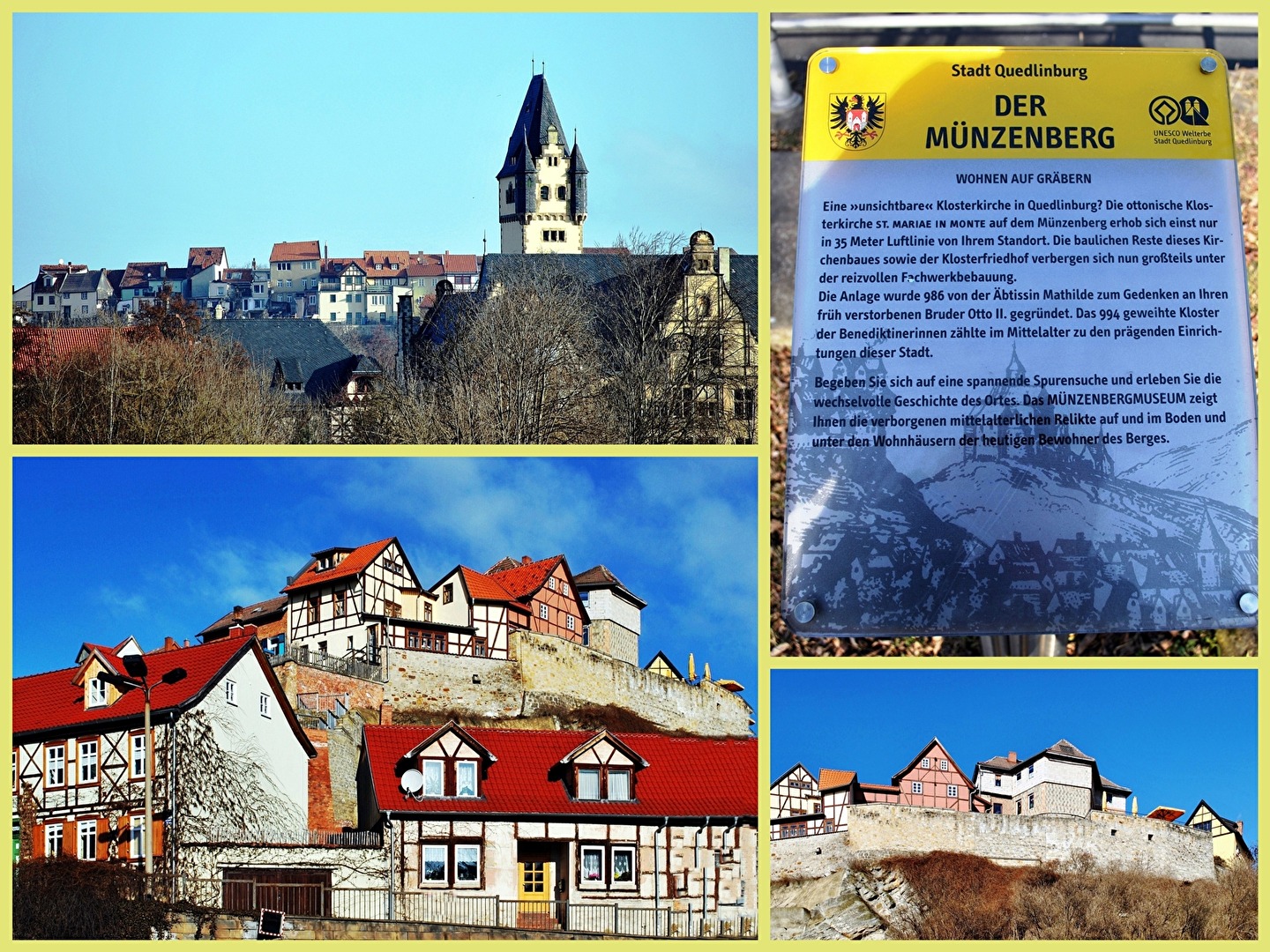 der Münzenberg