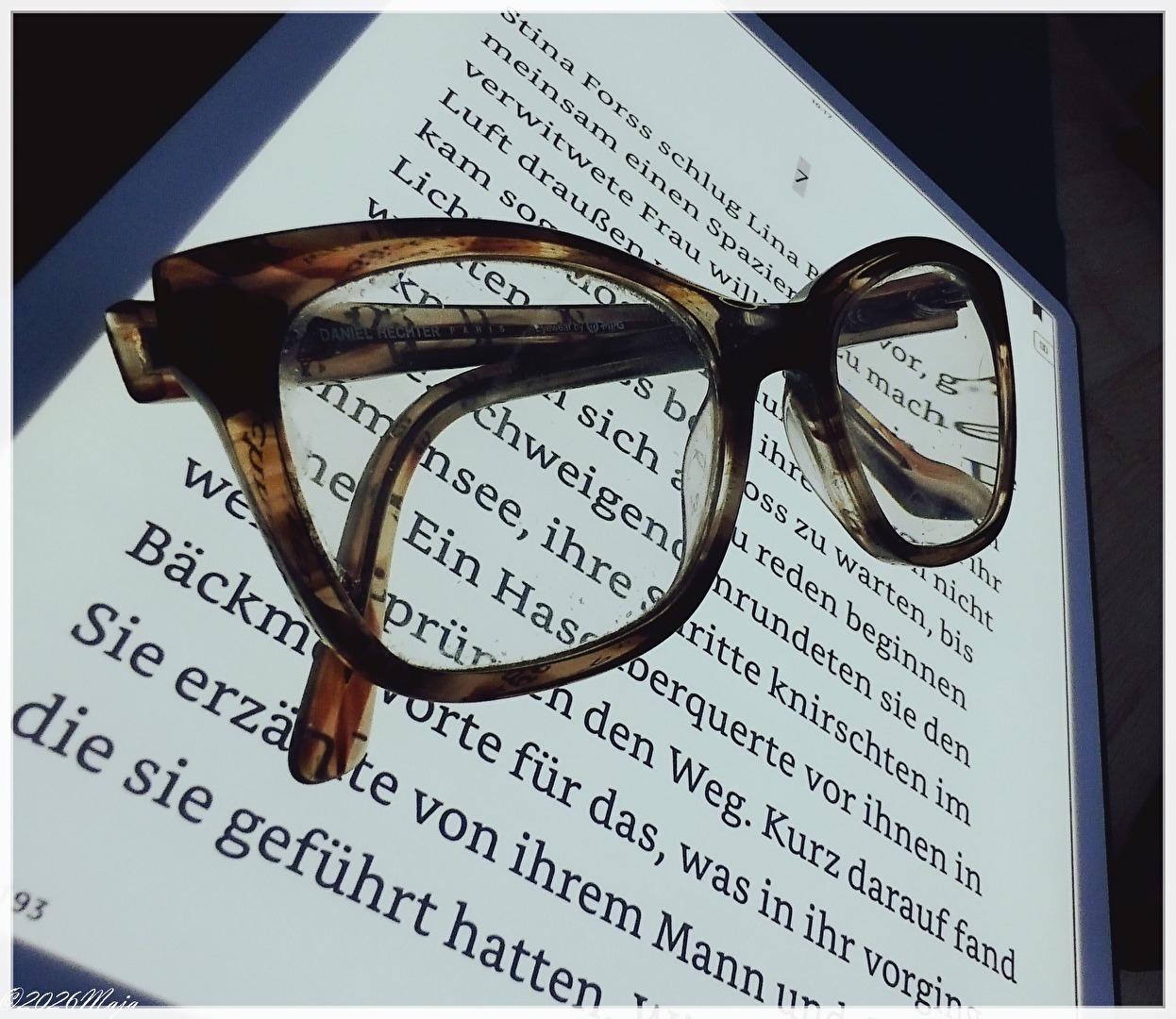 Analog wie aus hybrider Kamera ohne Filter