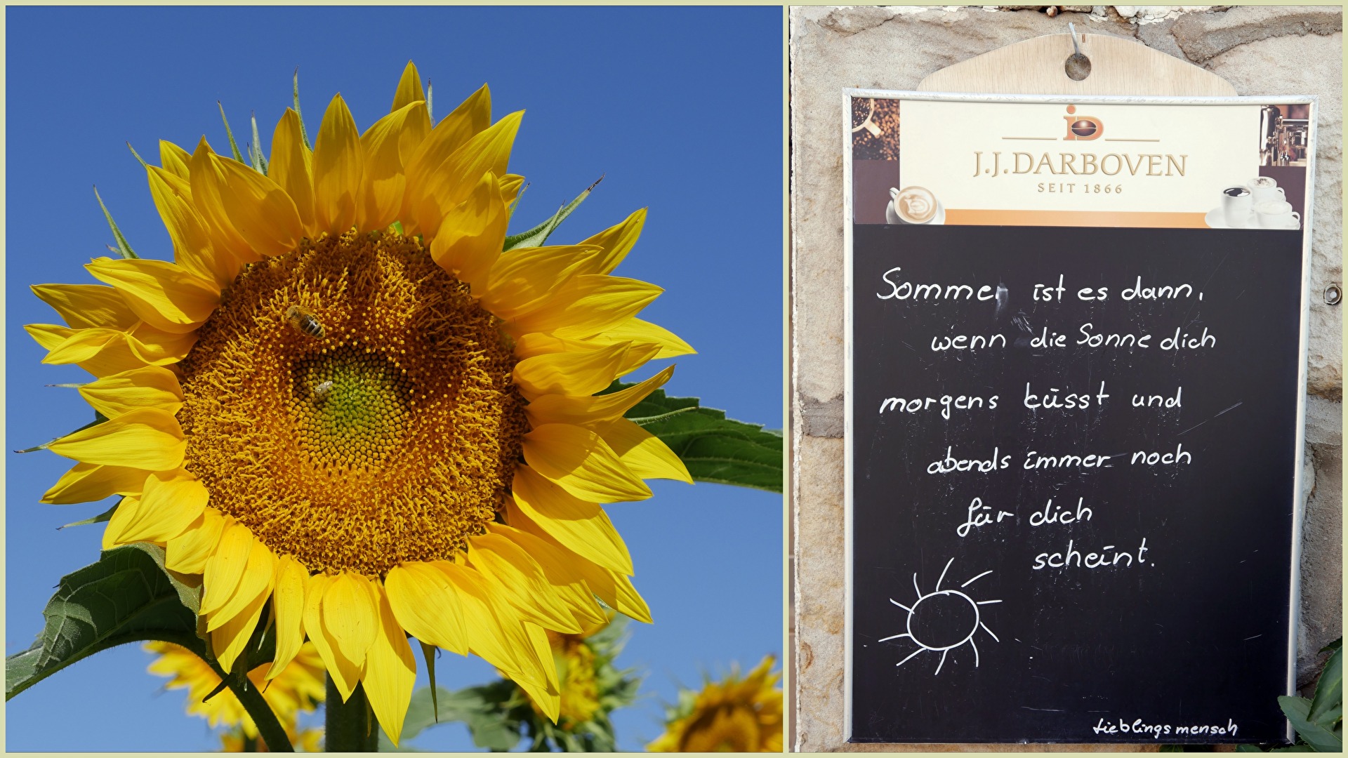 Spruch zum Sommer