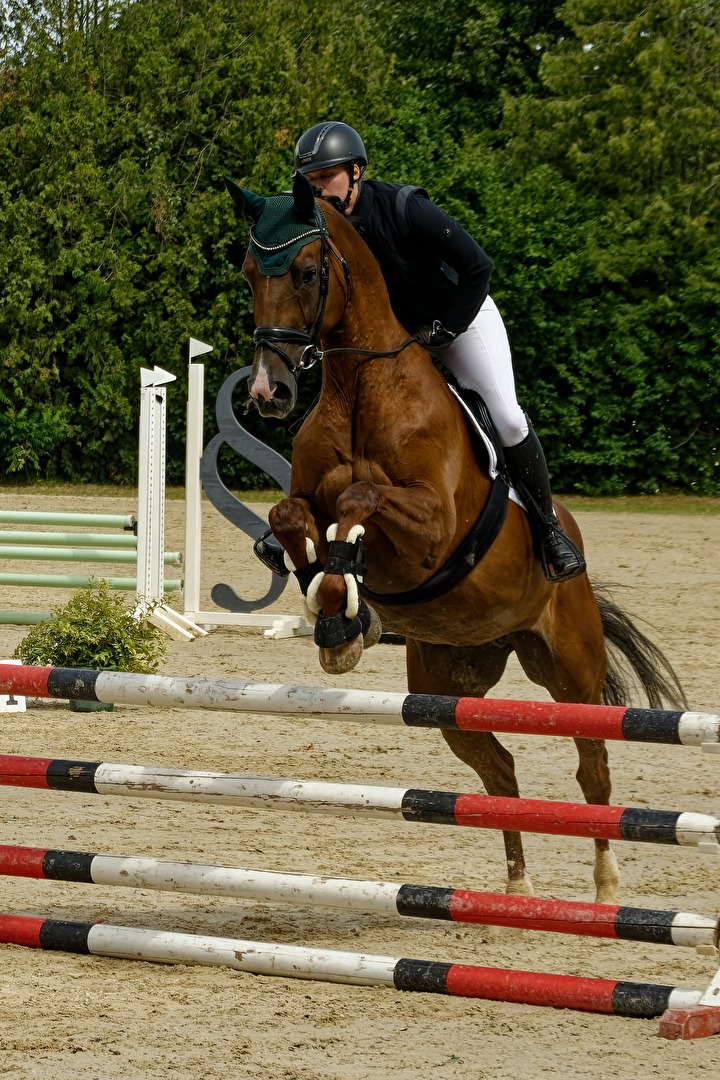Springreitturnier