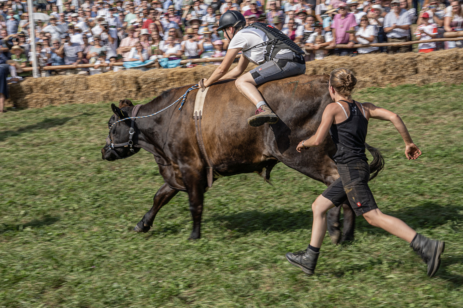 Ochsenrennen in Münsing