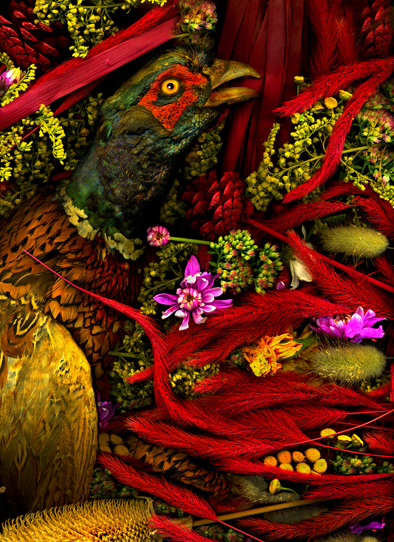 Magic garden No.50