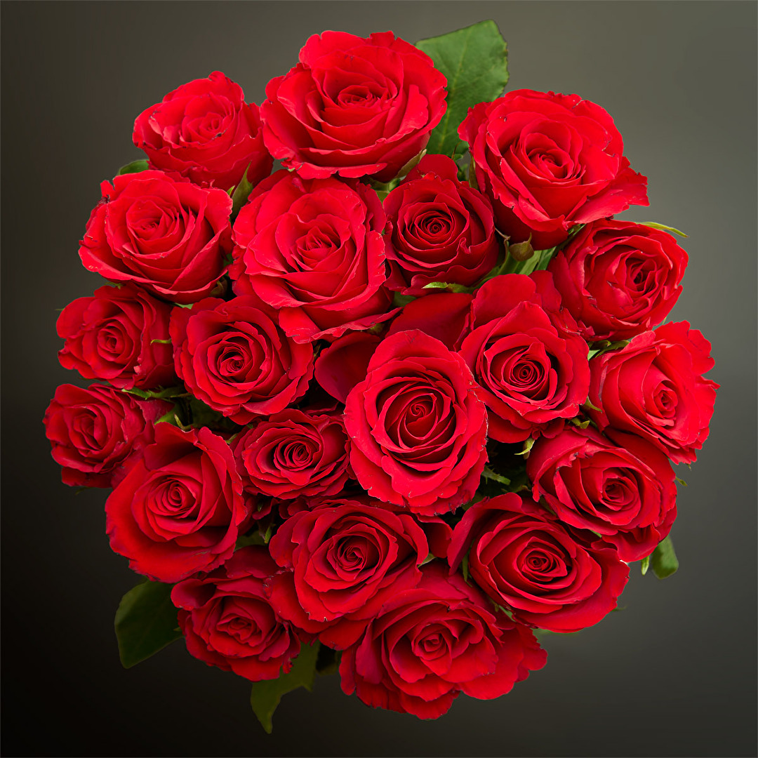 Rosen Rot Strauss Love