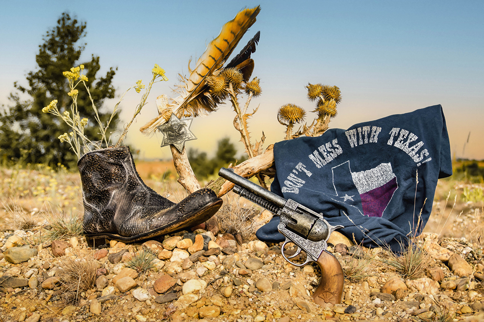 Don´t Mess With Texas