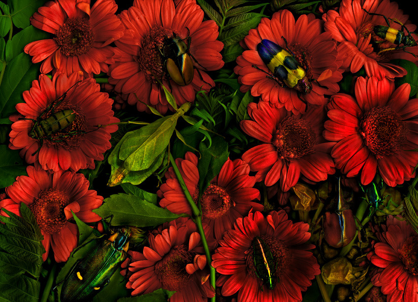 Rot,Grün und all die anderen wunderbaren Farben...