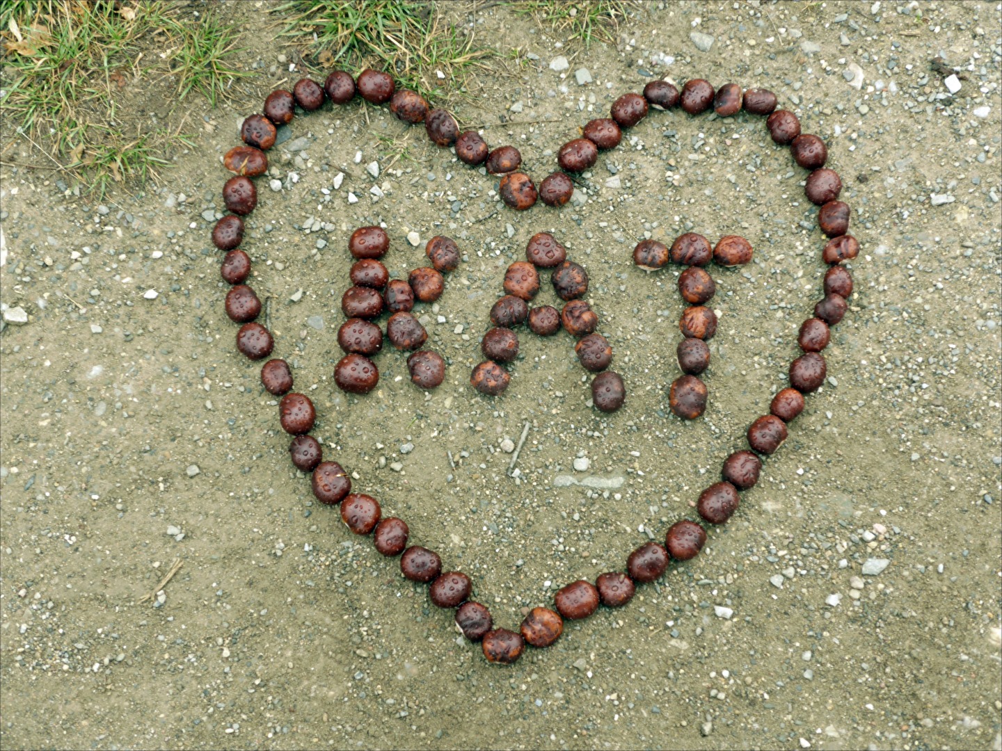 Versteckte Liebe