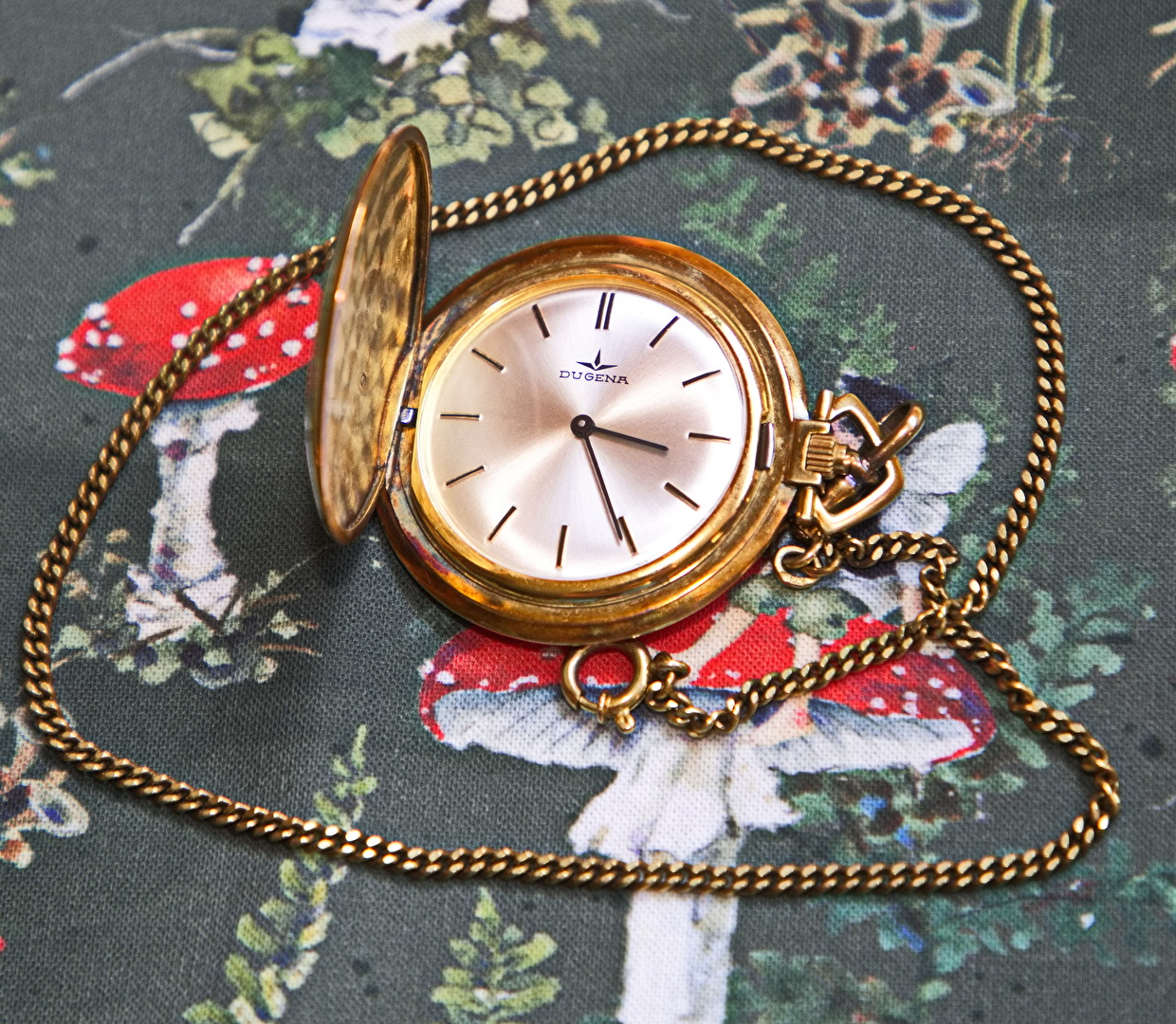 #Taschenuhr