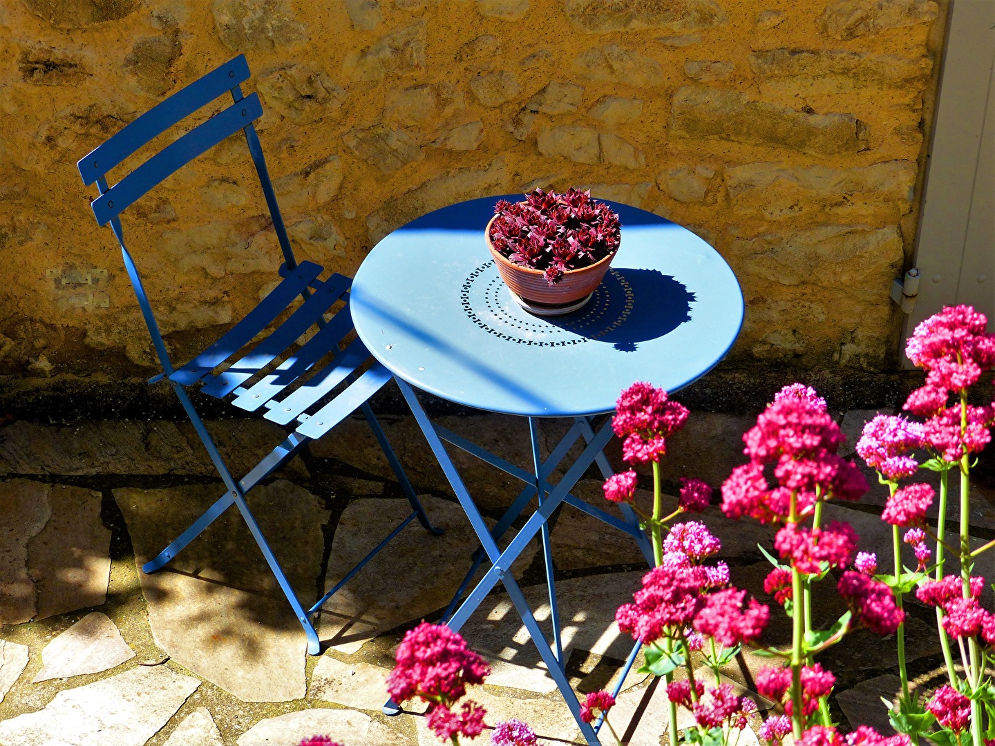 Plätzchen im Schatten