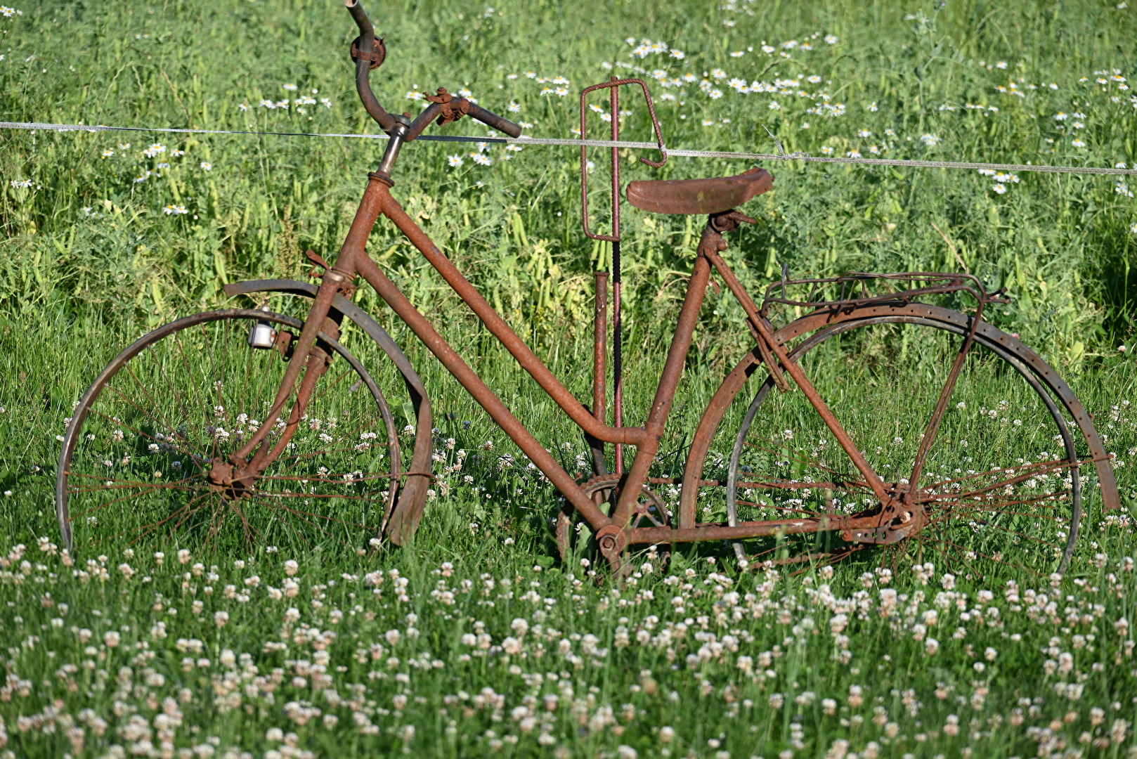 Es war einmal ein Fahrrad