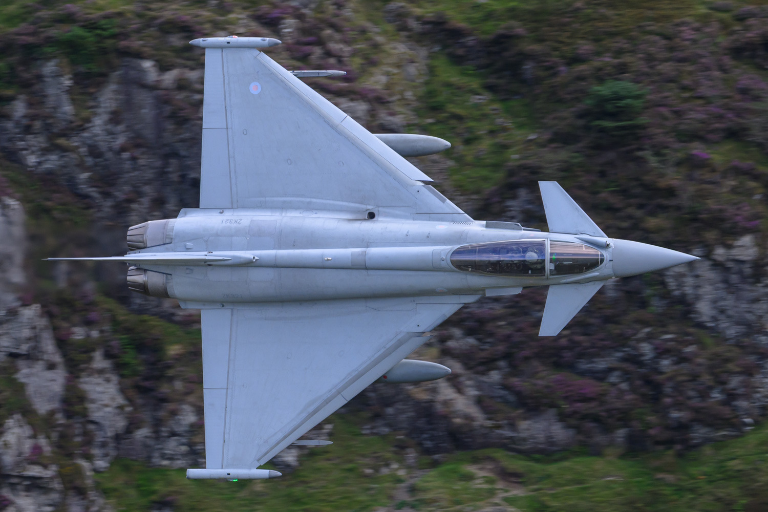 Typhoon