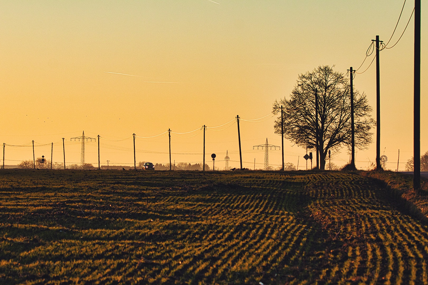 Masten im Abendlicht