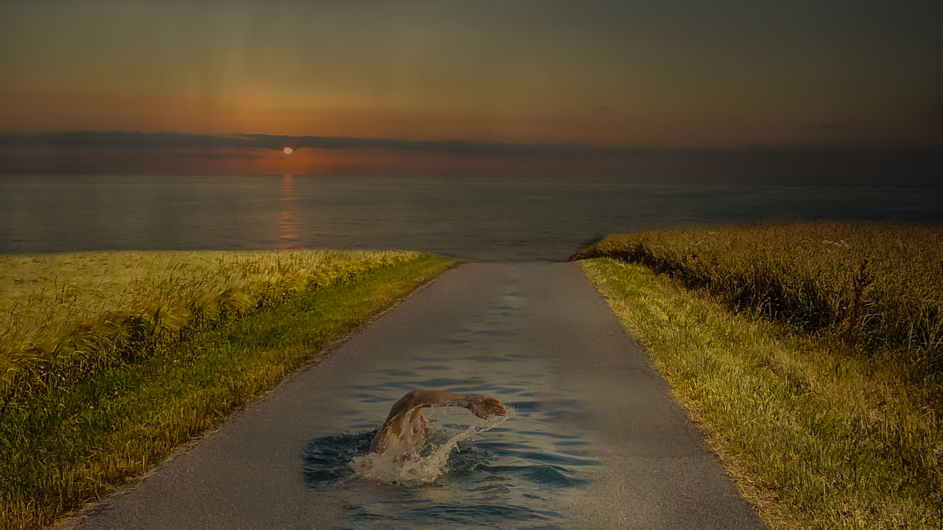 Zurück ins Meer