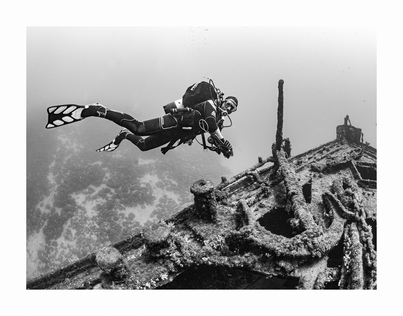 Am Wrack der Lina vor Cres