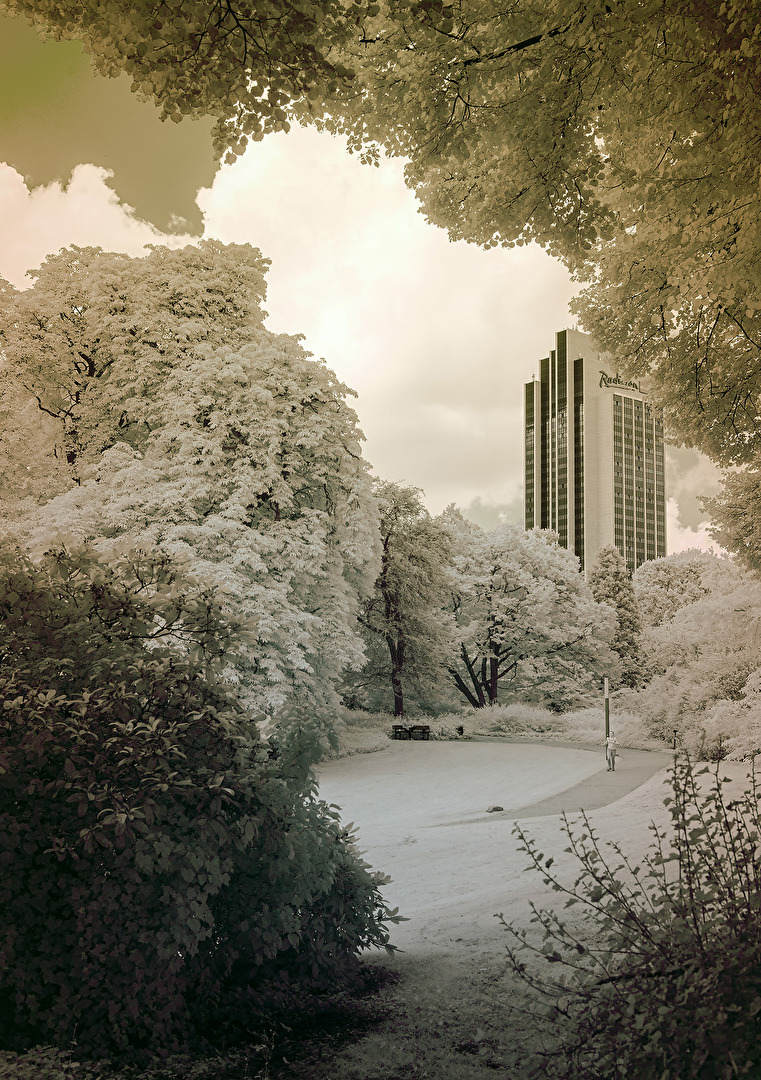 Dammtor-Park-IR