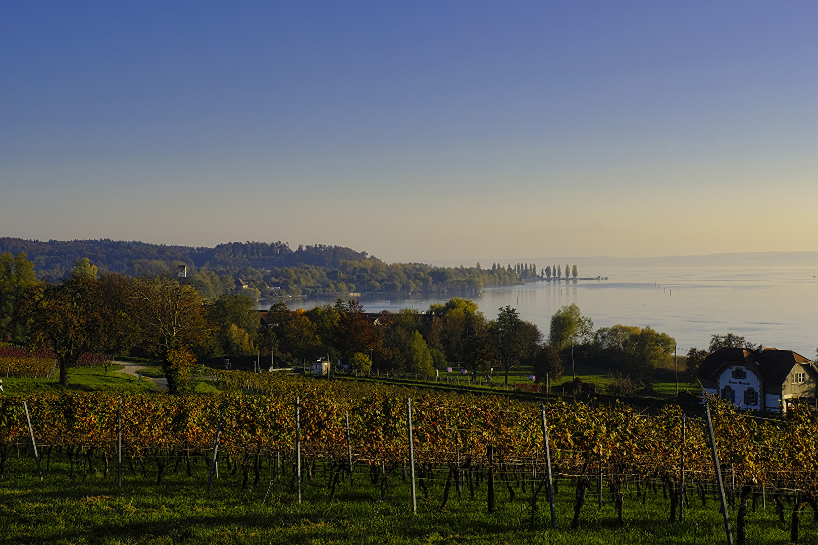 Bodensee 5