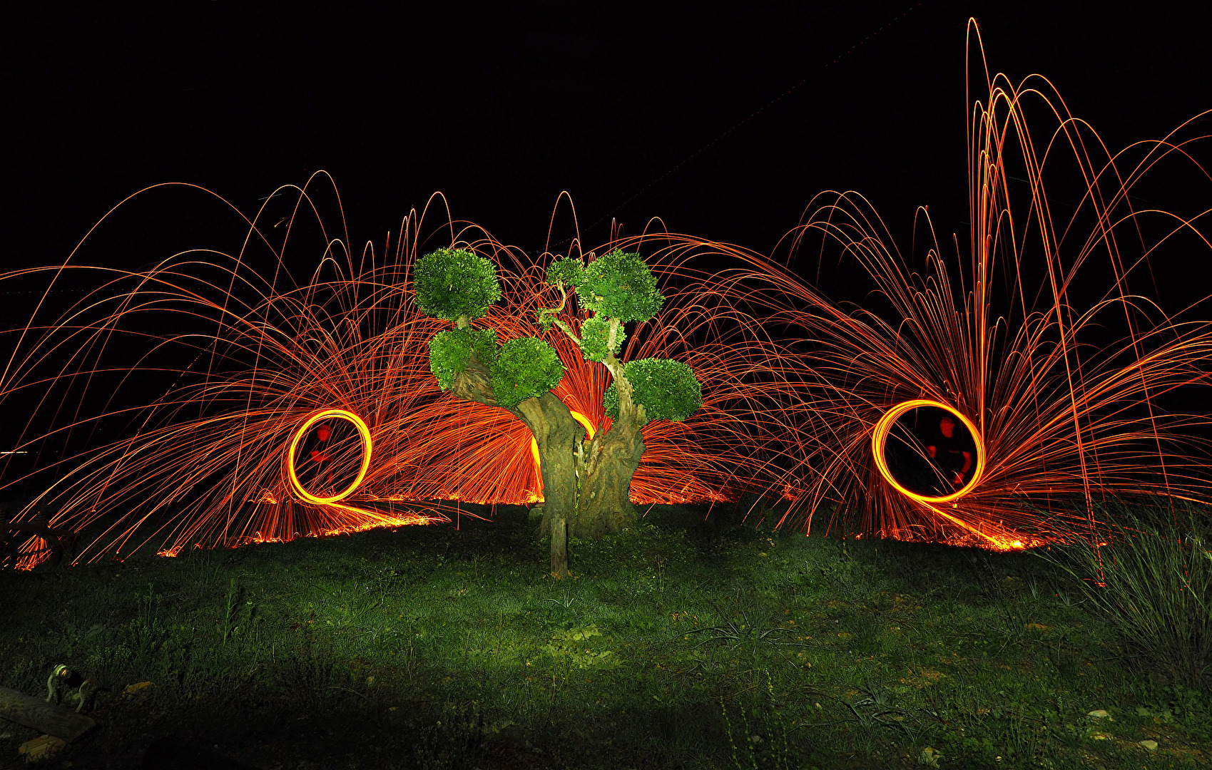 ohne Titel, aber mit Baum