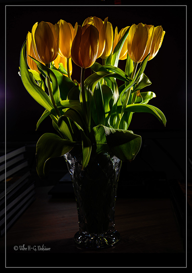 Blüten und Kleinpflanzen (allgemein)