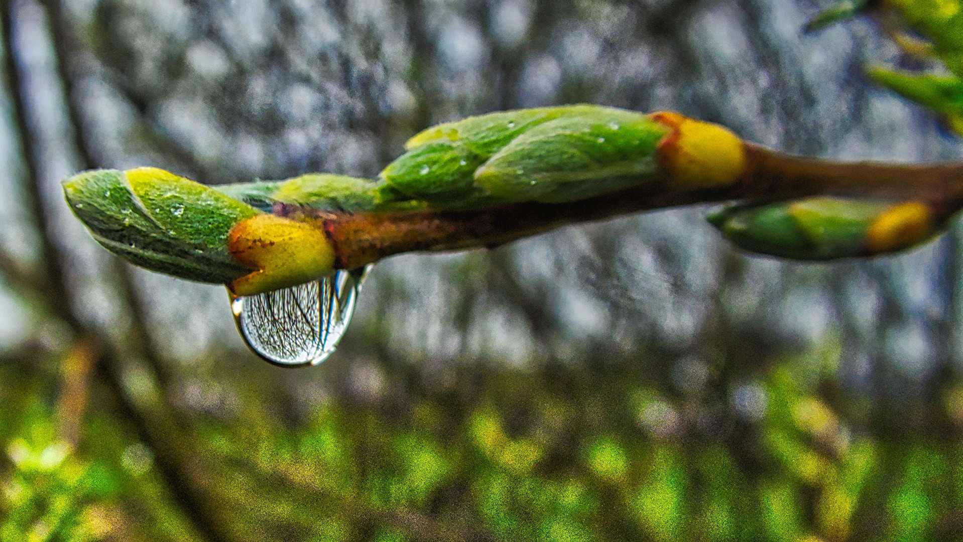 Wasser
