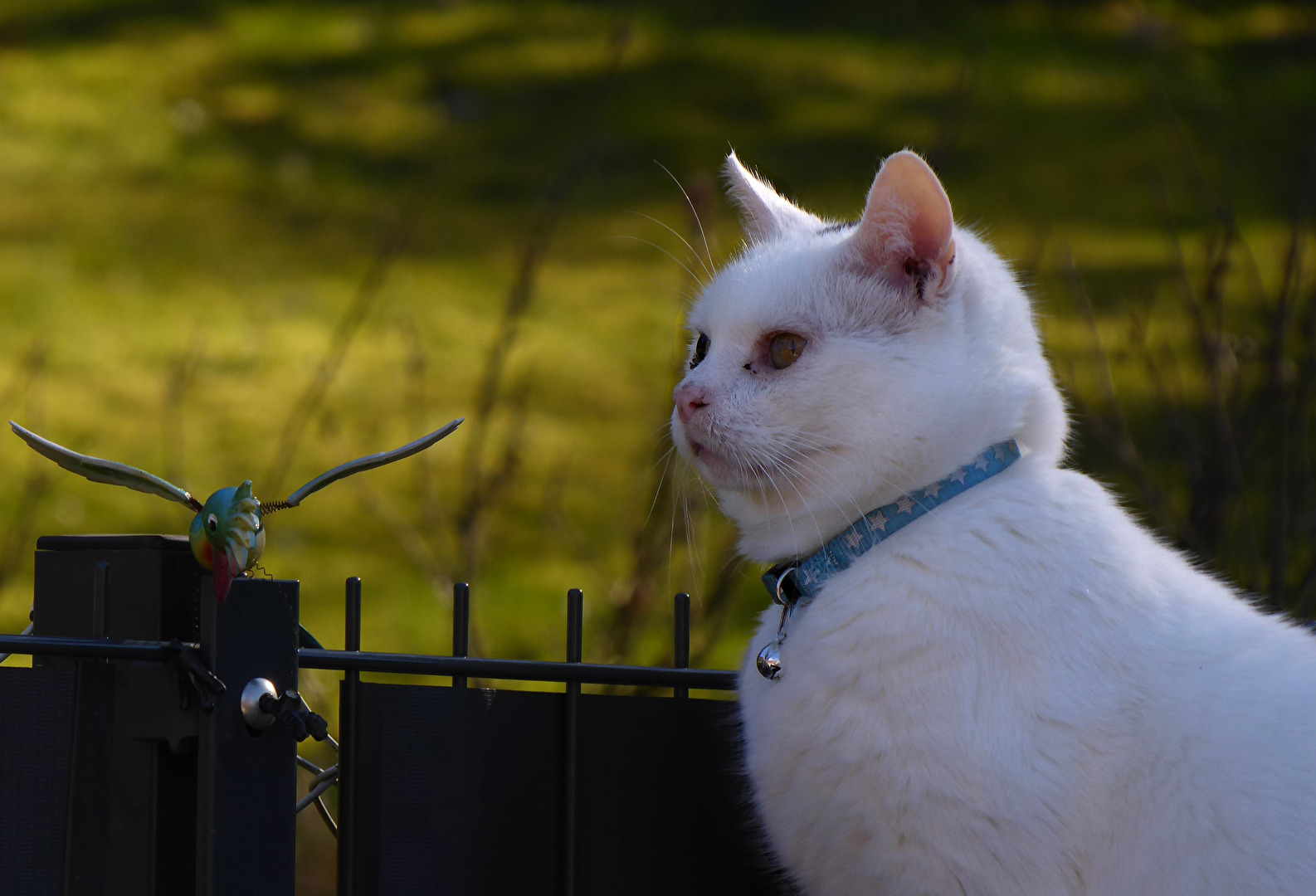 Zu Ehren von Kater Knut