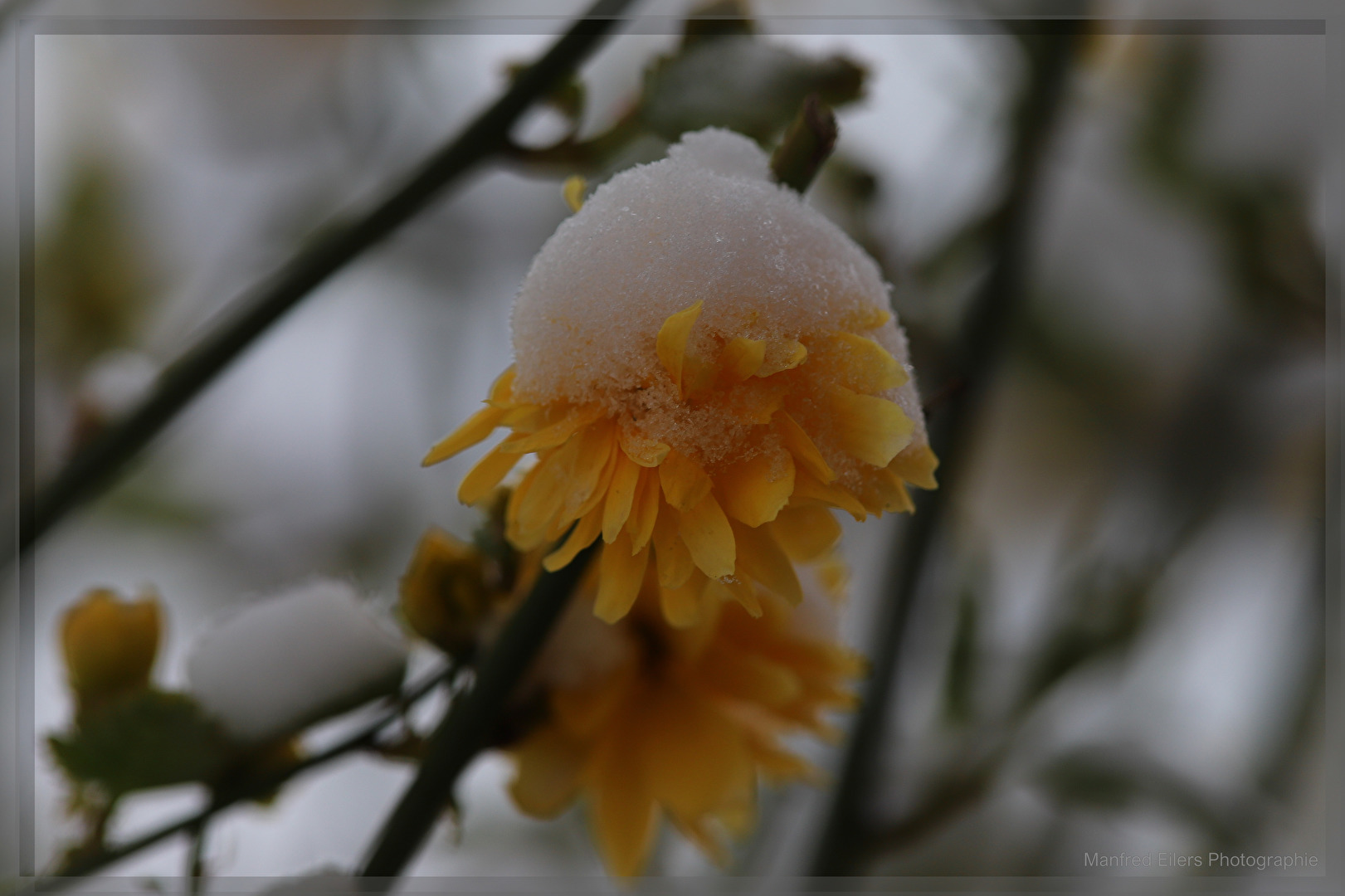 Noch etwas Schnee in NDS