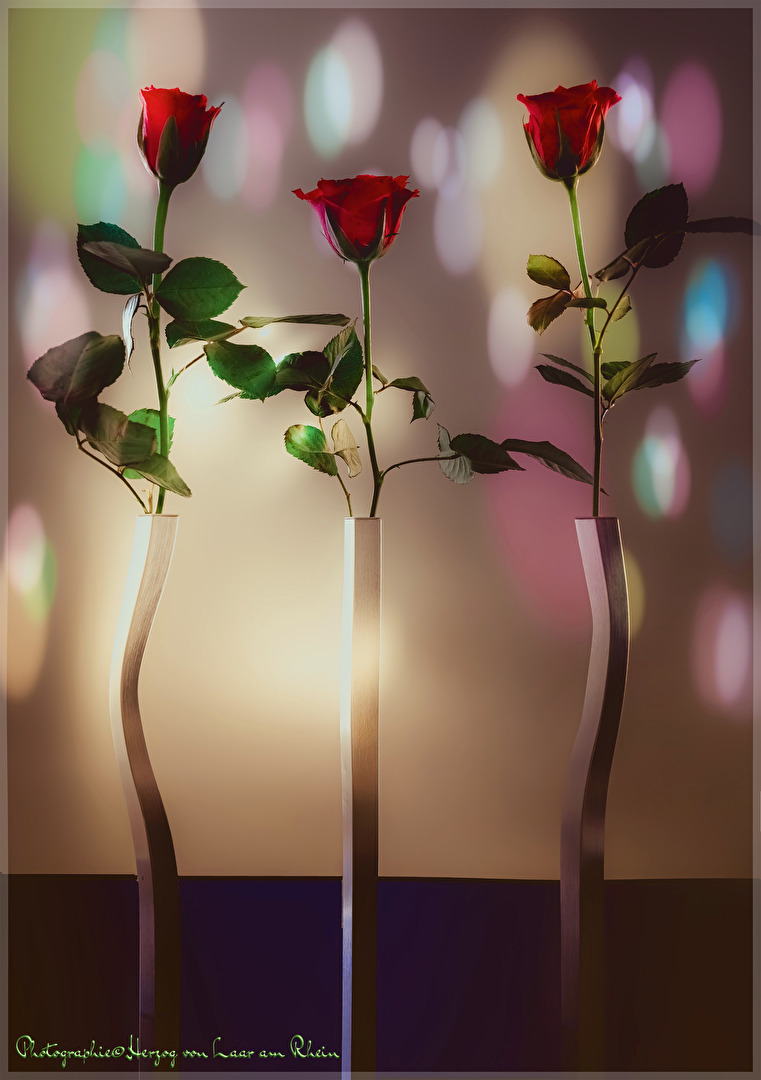 Drei Freundinnen. . .