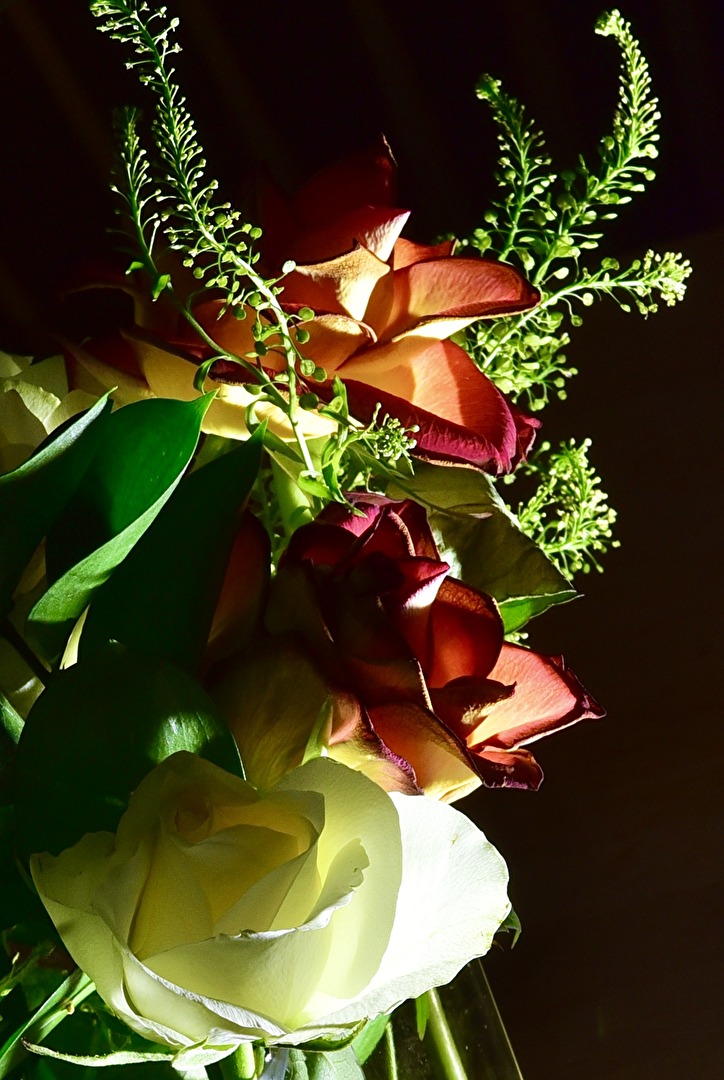 Zum Hochzeitstag 🥂