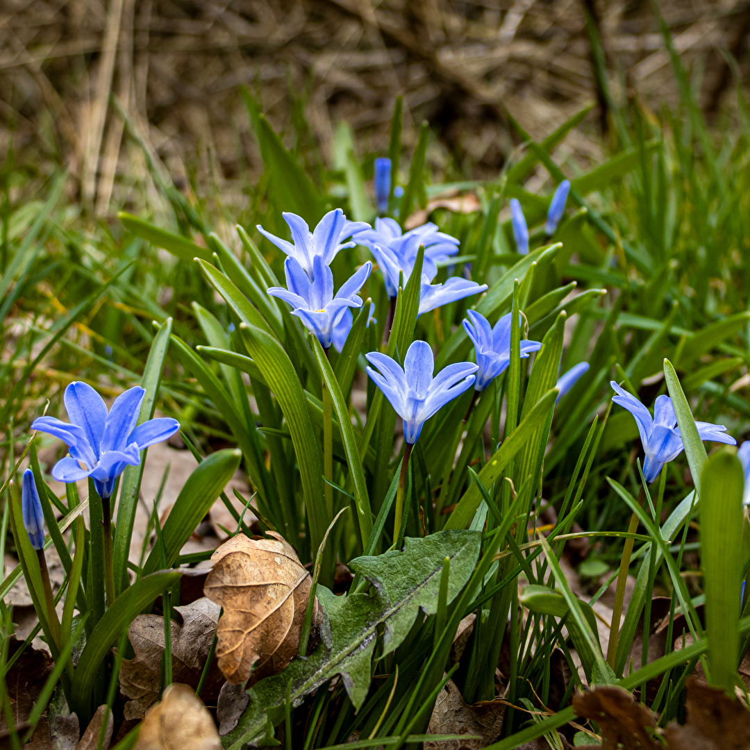 am Wegesrand kurz mal n die Hocke gegangen, hat sich gelohnt....