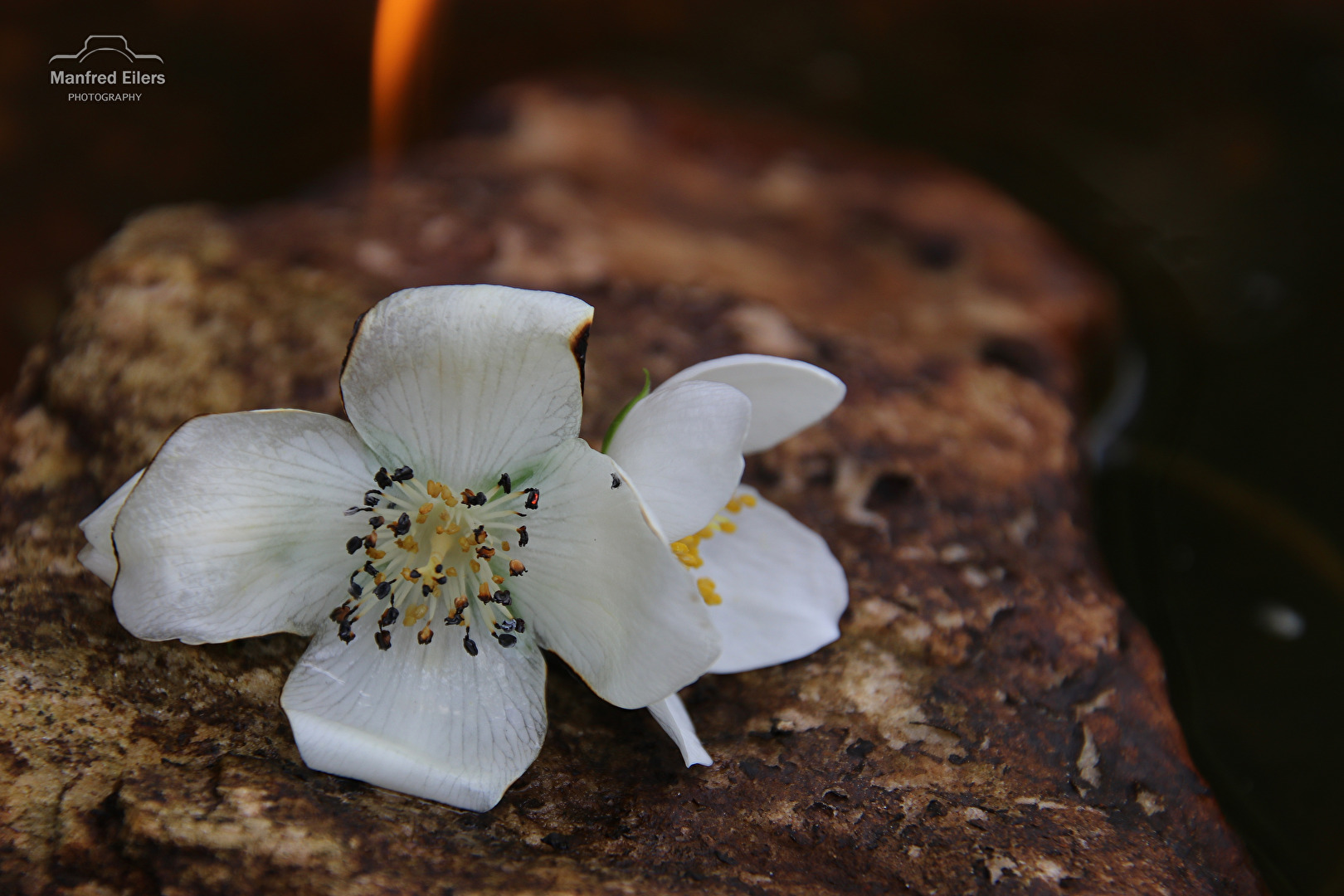 Mein erster Versuch mit Feuer