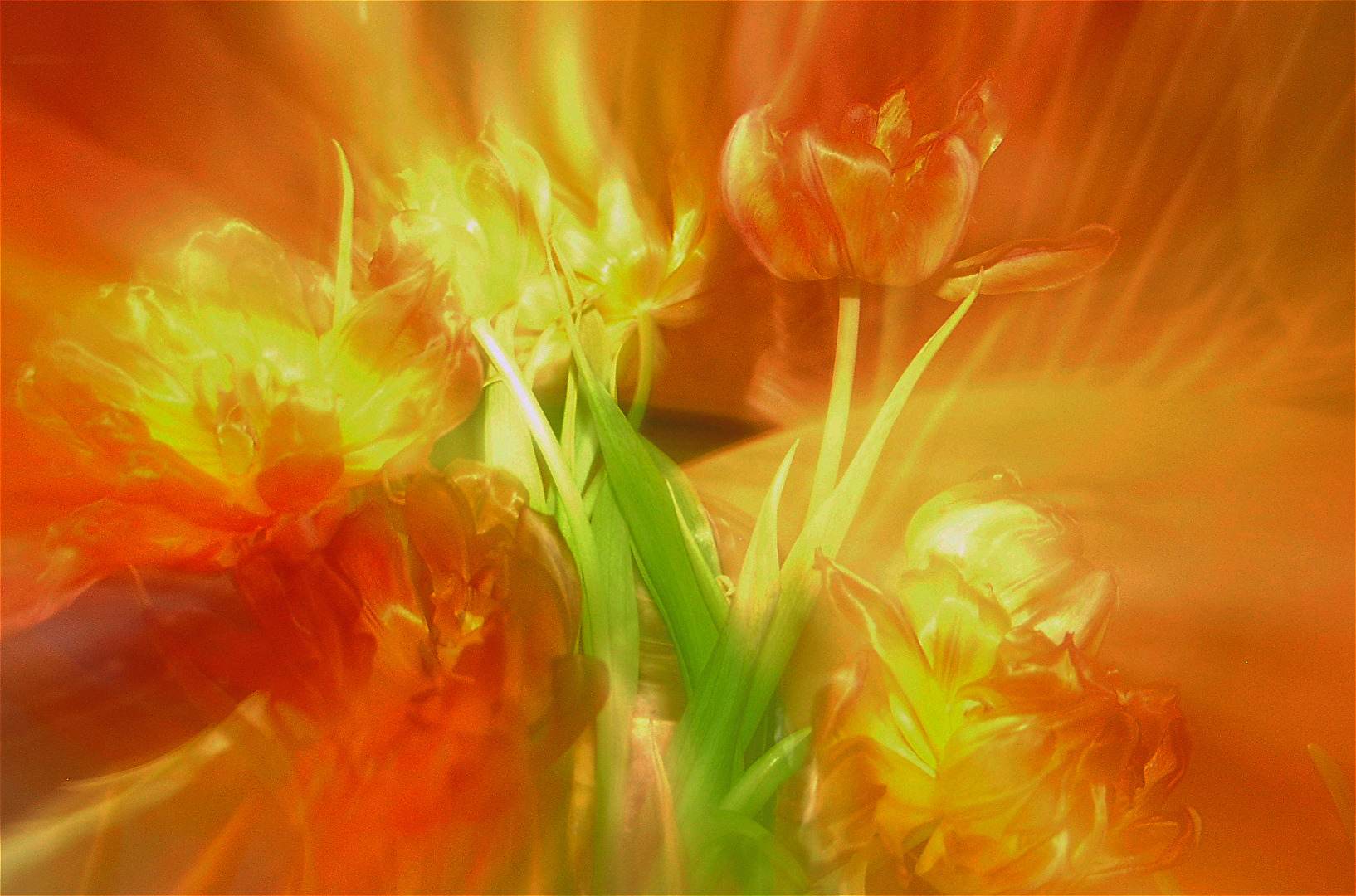 Mit der Kamera "gemalt"