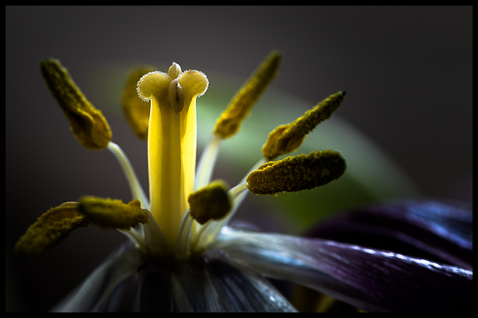 Blumenstempel
