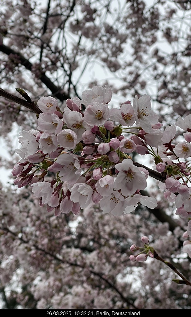 Der Frühling ist im vollen Gang