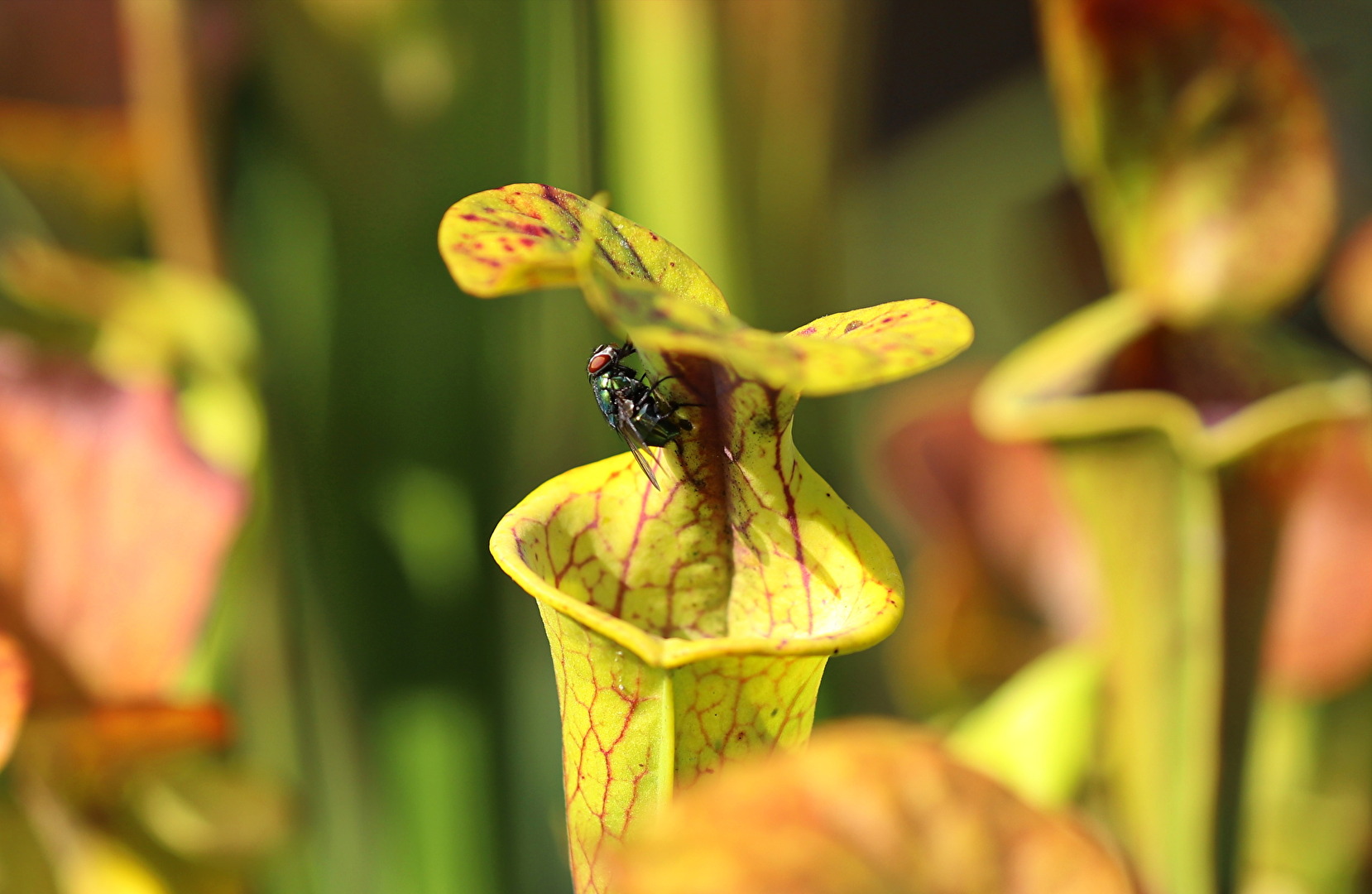 keine falsche Bewegung.