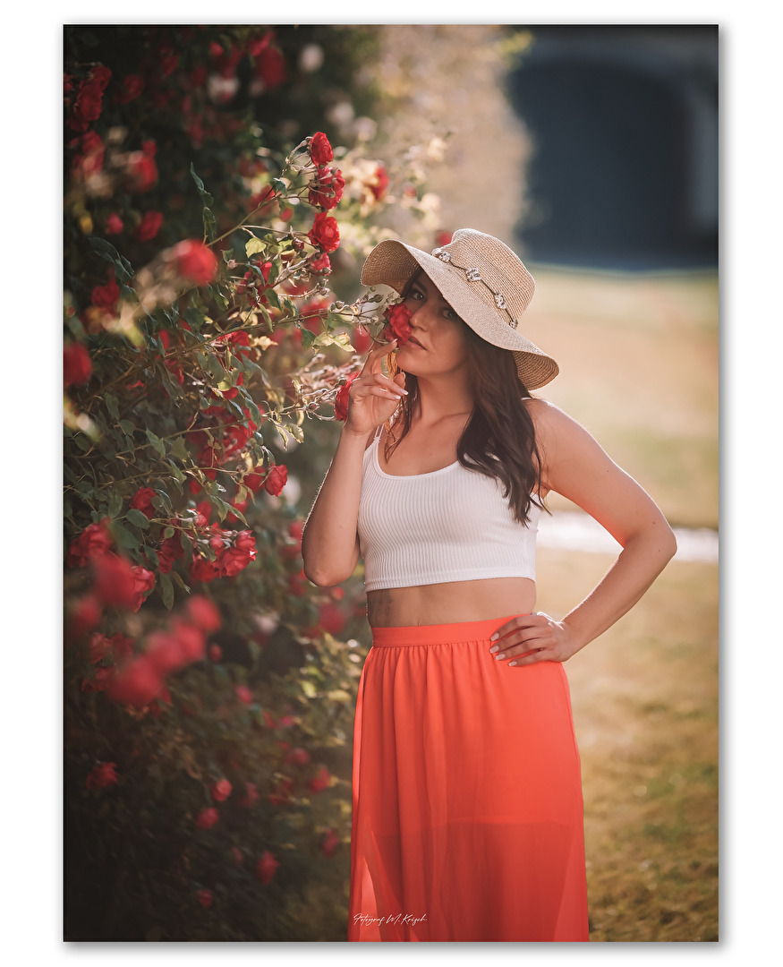 Duft der Rose