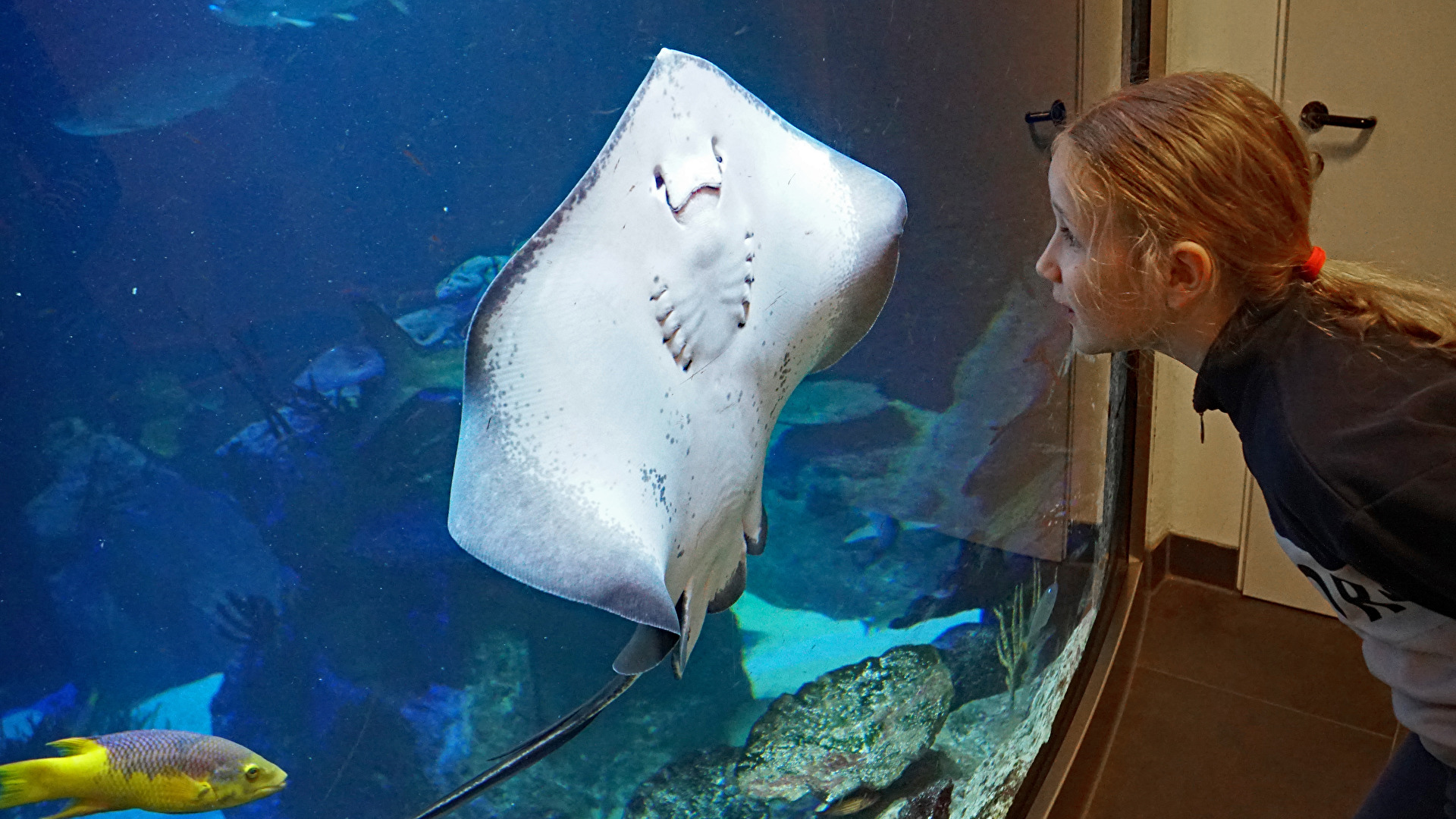 Schau mir in die Augen....